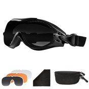 Phoenix interchangeable OTG goggles
