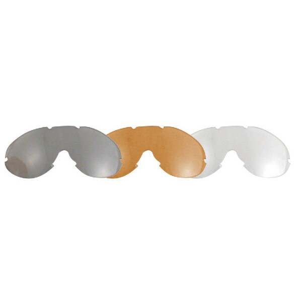 Phoenix interchangeable OTG goggles